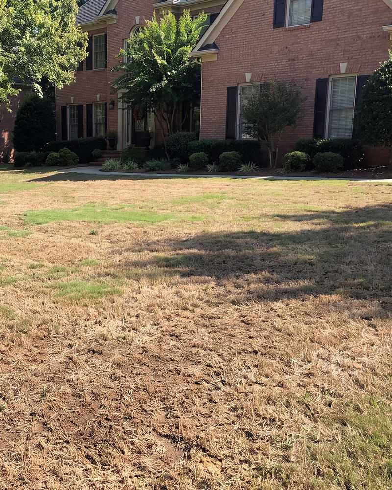 Months Of Heat And Uneven Rain Wear Grass Down