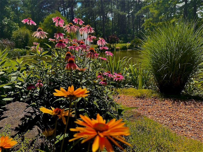 More Than 2,000 Varieties Of Ornamental Plants More Than 2,000 Varieties Of Ornamental Plants