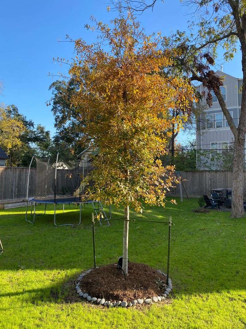 Most Fall Drop Needs No Response