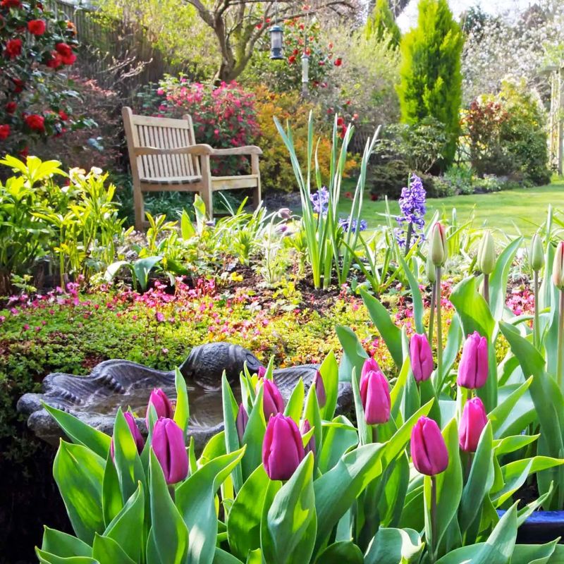 Most Plants Resume Normally In Spring