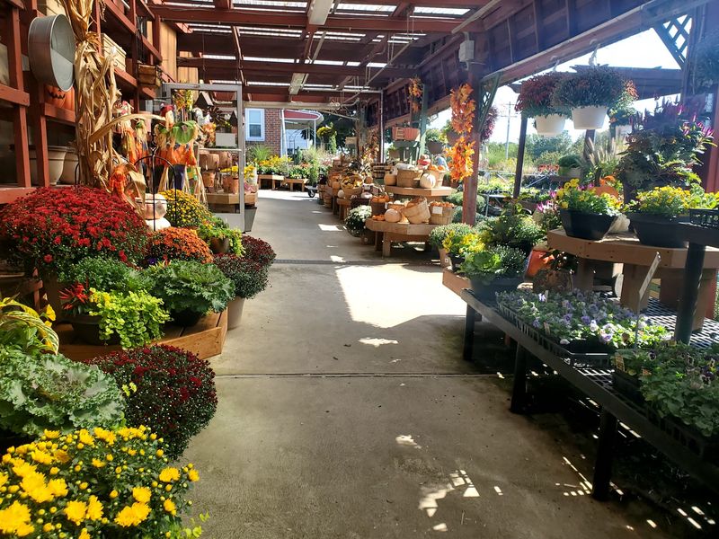 Mostardi Nursery - Newtown Square