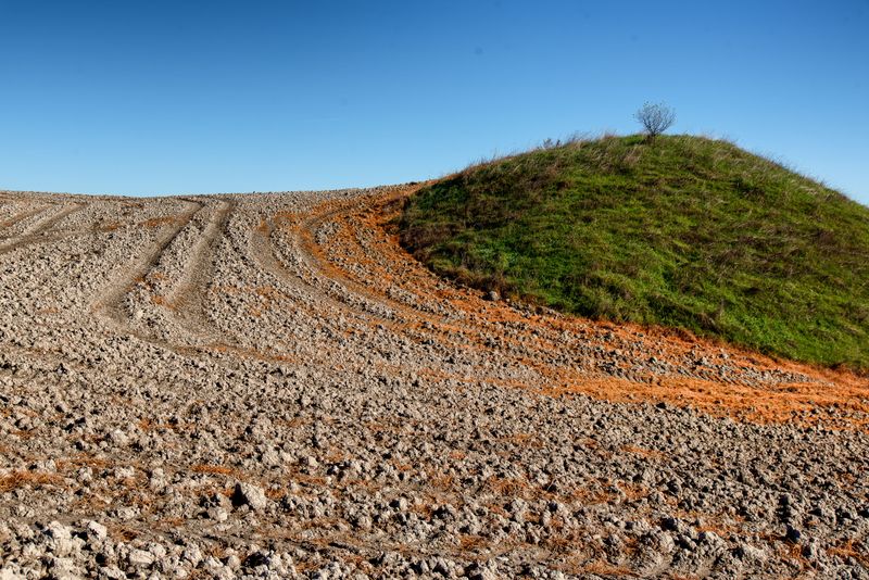 Mound Drenches And Why Technique Beats Volume Mound Drenches And Why Technique Beats Volume