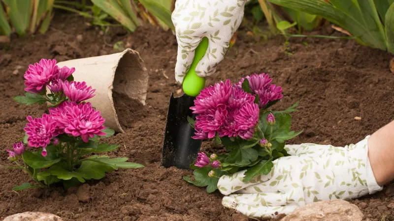 Move Containers Into Garden Beds Move Containers Into Garden Beds