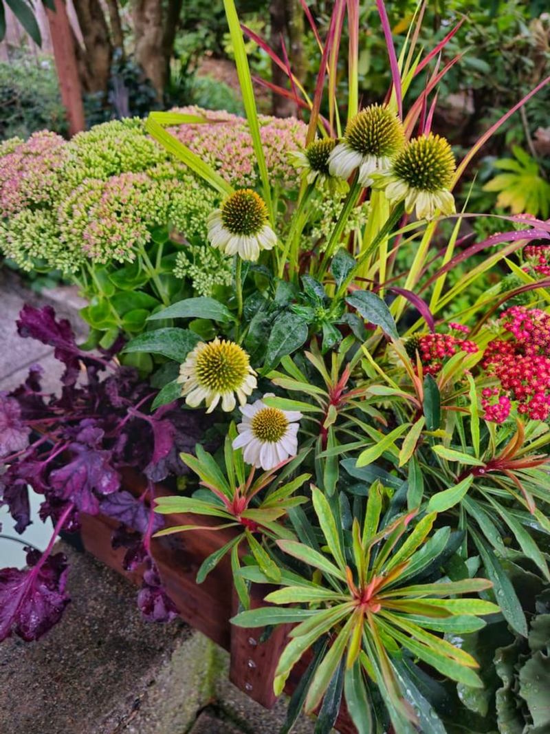 Move Established Perennials Before The Soil Gets Wet Move Established Perennials Before The Soil Gets Wet