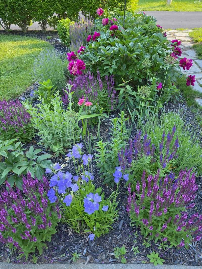Move Overcrowded Perennials While Soil Is Still Warm