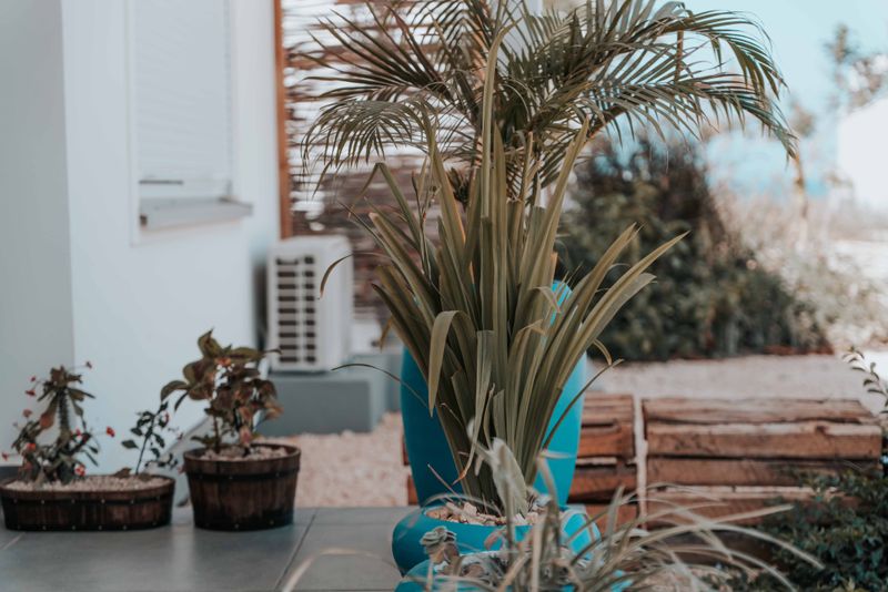 Move Potted Plants Away From Exposed Areas Move Potted Plants Away From Exposed Areas