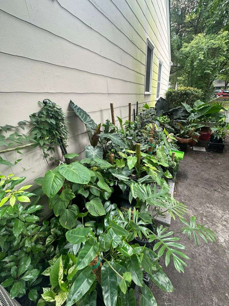 Move Potted Plants Away From Exposed Ridges