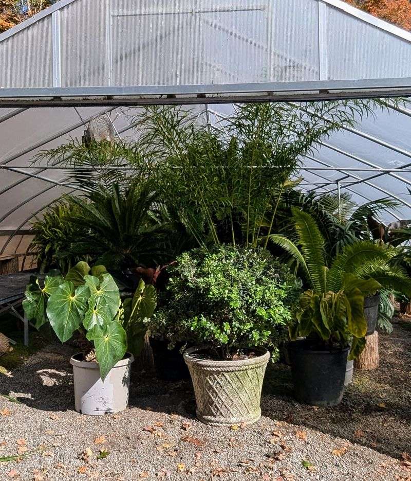 Move Sensitive Containers To Higher Ground Move Sensitive Containers To Higher Ground