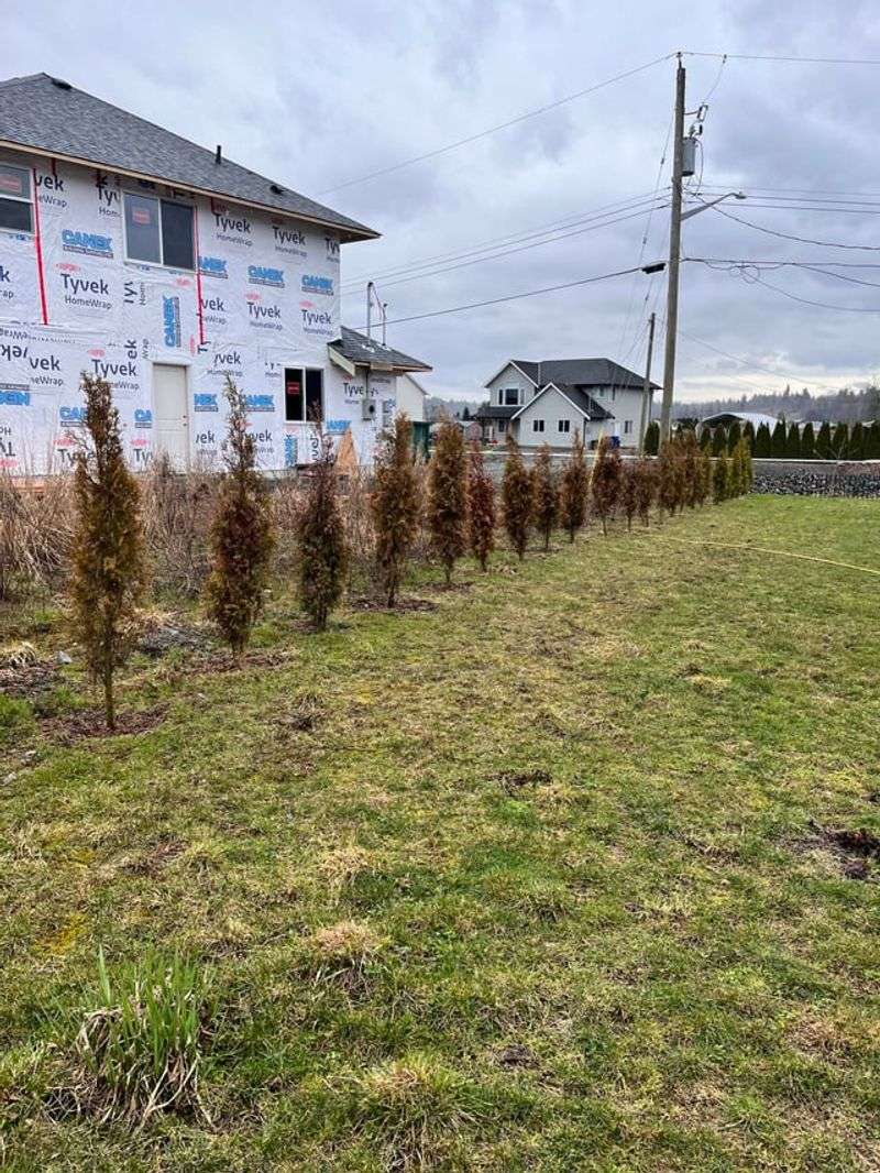Moving Plants During The Wrong Weather