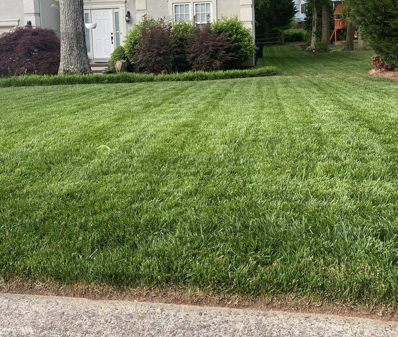 Mow At The Right Lawn Height Mow At The Right Lawn Height