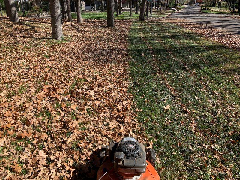 Mow Leaves Into The Lawn Mow Leaves Into The Lawn