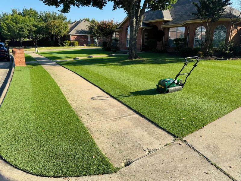 Mow Low And Often Once Active Growth Returns Mow Low And Often Once Active Growth Returns