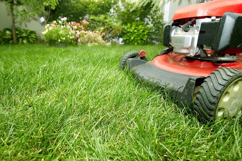 Mow Only When The Grass Is Ready