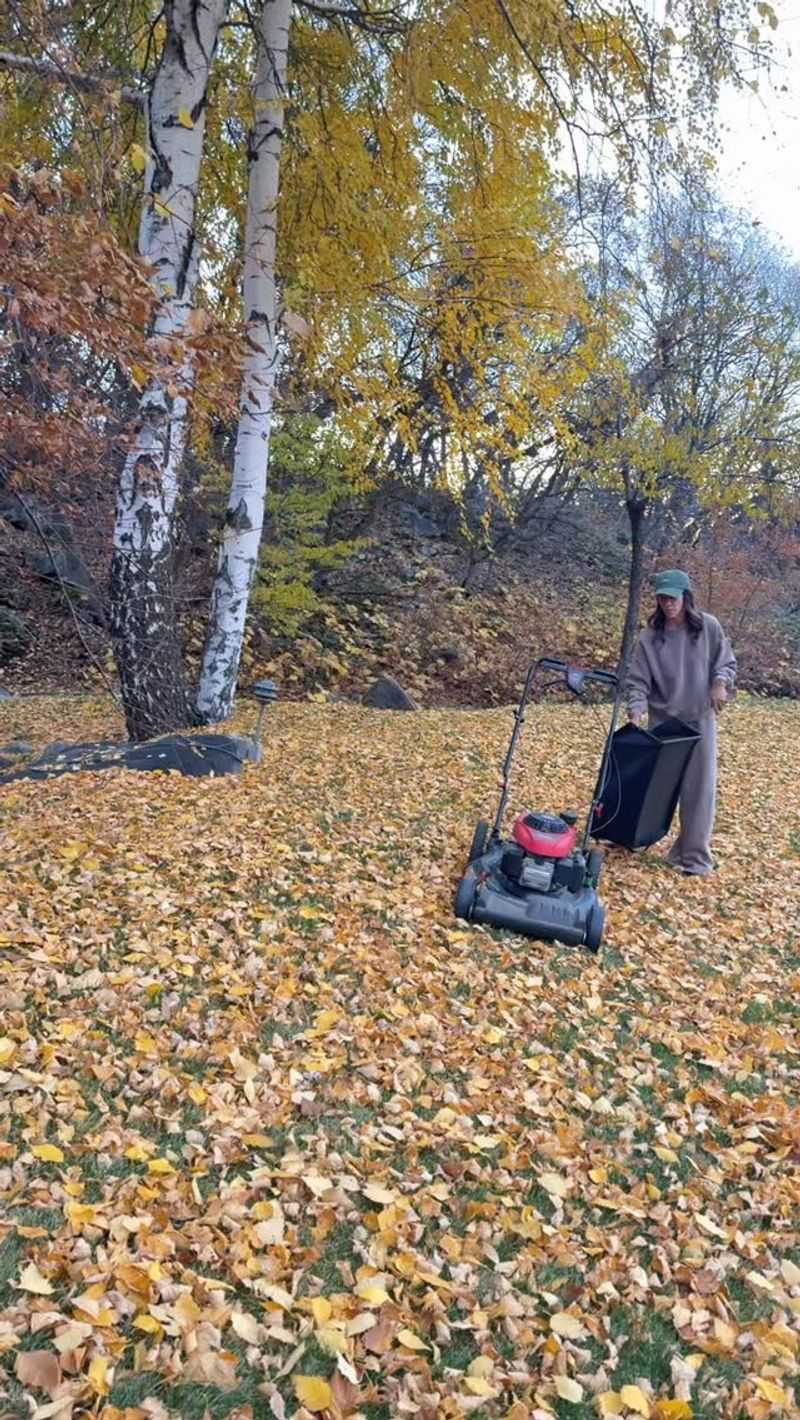 Mow When Leaves Are Relatively Dry Mow When Leaves Are Relatively Dry