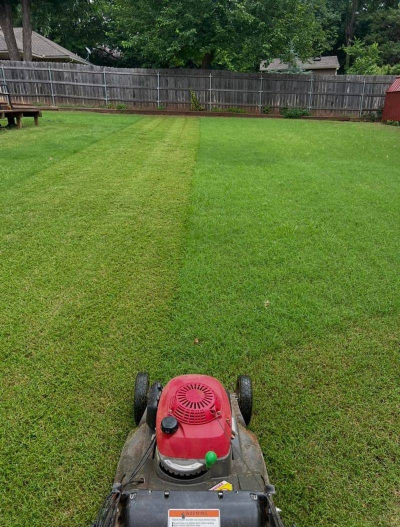 Mowing And Insecticide Timing That Actually Works Mowing And Insecticide Timing That Actually Works