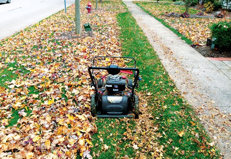 Mowing Can Turn Leaves Into Lawn-Friendly Mulch Mowing Can Turn Leaves Into Lawn-Friendly Mulch
