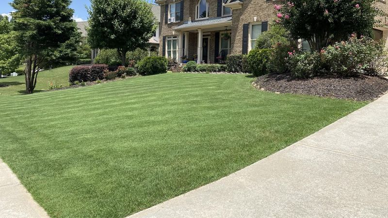 Mowing Mistakes That Turn Green Grass Tan Overnight