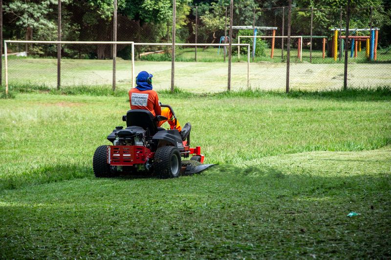 Mowing Right Before Treatment Wastes The Effort Mowing Right Before Treatment Wastes The Effort