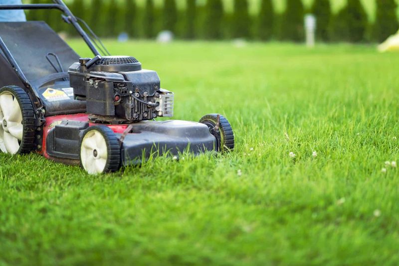 Mowing Still Matters As Growth Begins To Slow Mowing Still Matters As Growth Begins To Slow