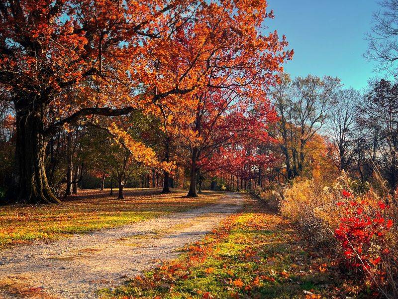 Mt. Airy Arboretum Adds Cincinnati-Area Color To October