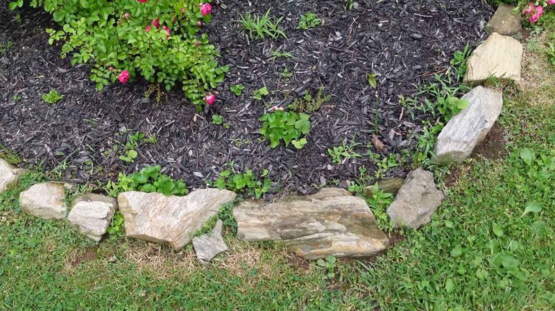 Mulch Helps Slow Lawn Encroachment