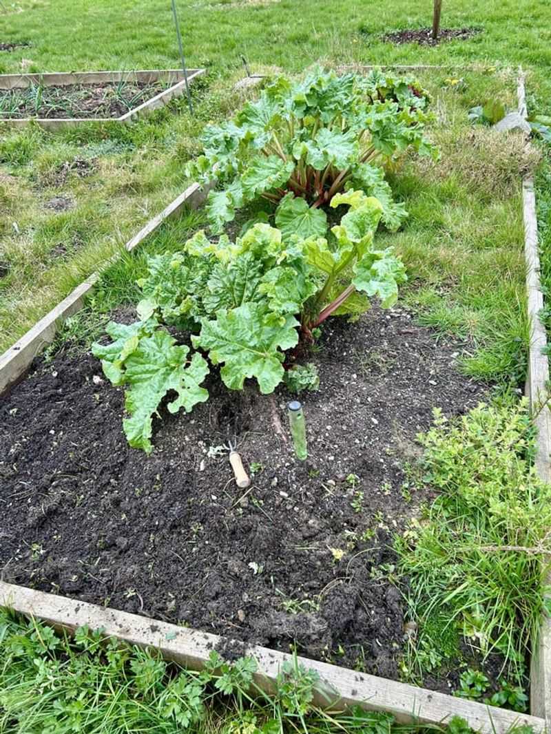 Mulch Holds The Moisture You Provide Mulch Holds The Moisture You Provide