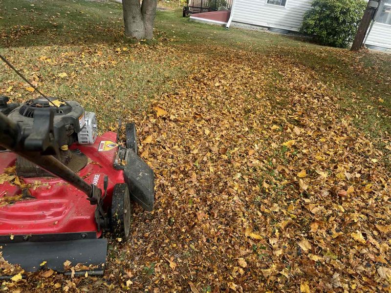 Mulch Leaves Into The Lawn