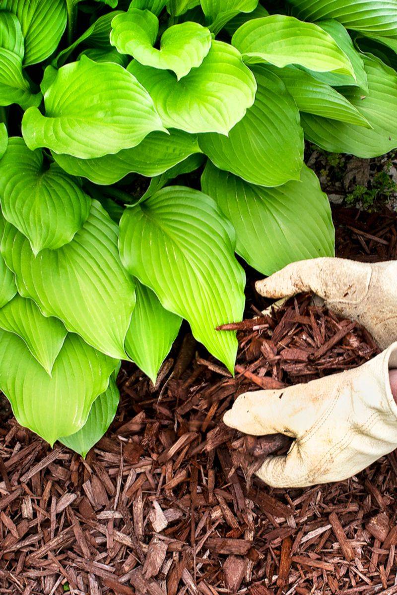 Mulch Like A Pro