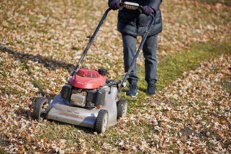 Mulch-Mow Leaves Into The Lawn Instead Of Raking Them All Away
