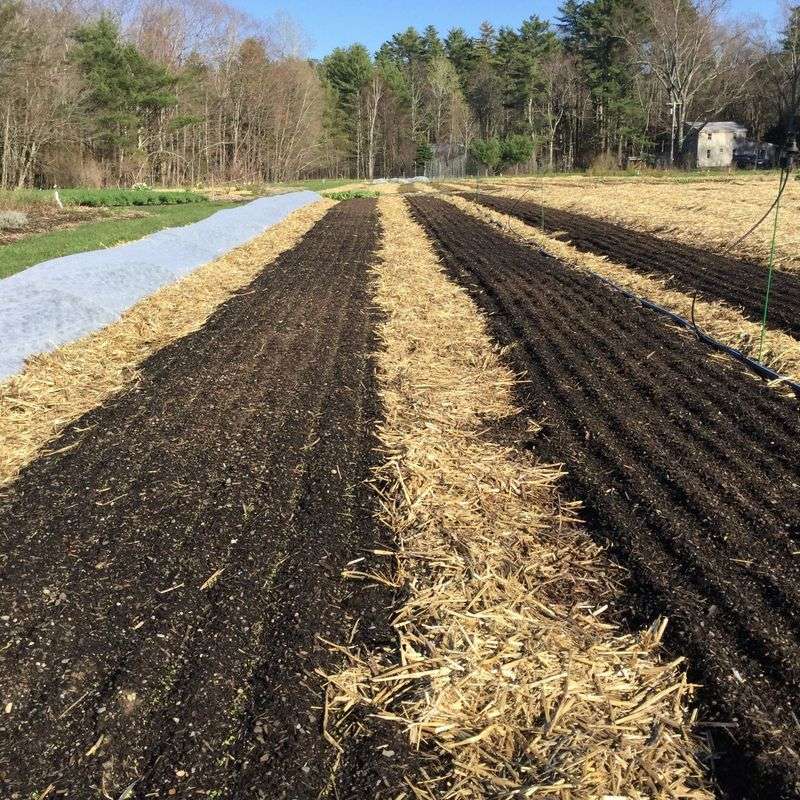 Mulch Protection Through Cold Winter Months