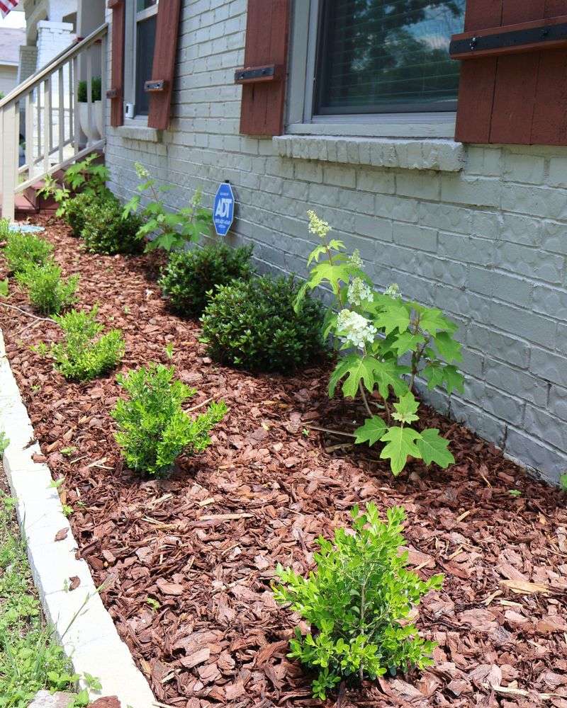 Mulch The Root Zone Mulch The Root Zone