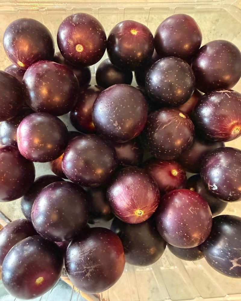 Muscadine Grapes