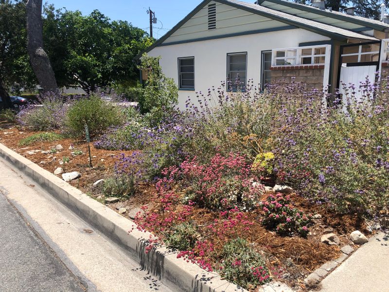 Native Plants May Still Need Local Approval