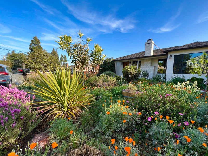 Native Roots Handle Drought Cycles Better