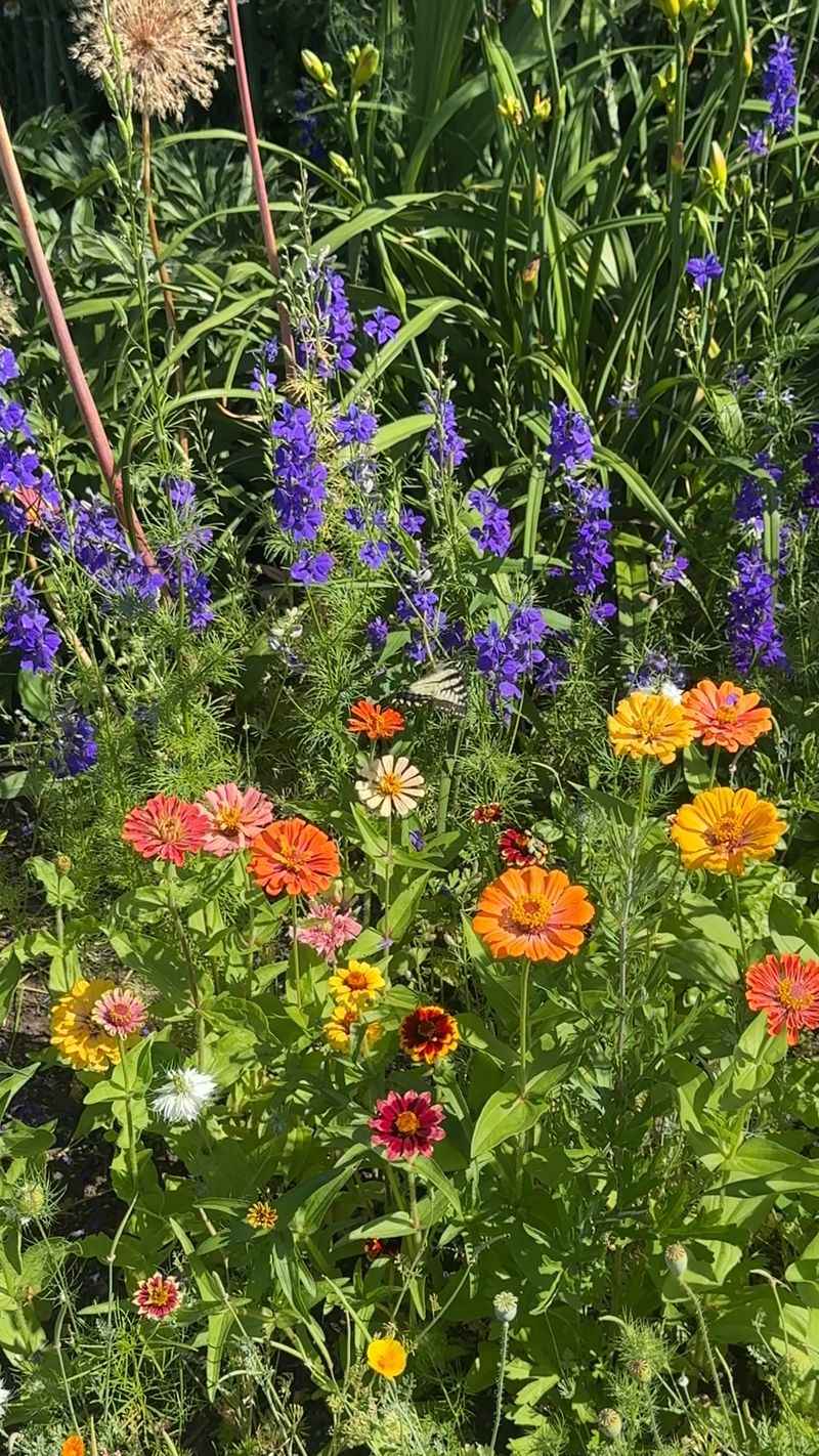 Natural Flowers Also Influence Competition