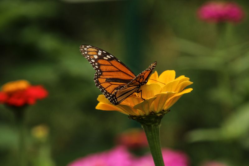Nectar Quality In Your Beds Passed The Test Nectar Quality In Your Beds Passed The Test