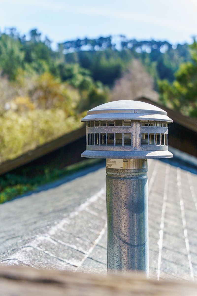 Neglecting Screens On Vents And Chimneys Neglecting Screens On Vents And Chimneys