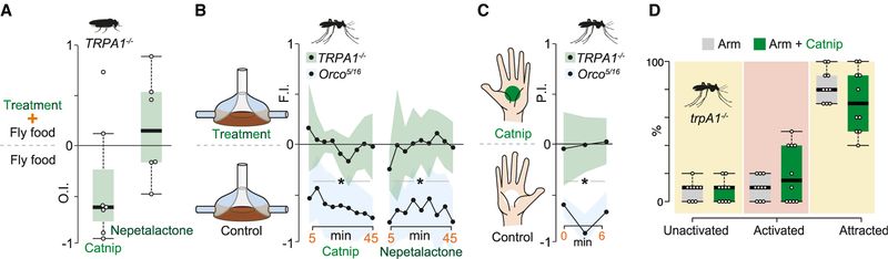 Nepetalactone triggers avoidance through an irritant receptor Nepetalactone triggers avoidance through an irritant receptor