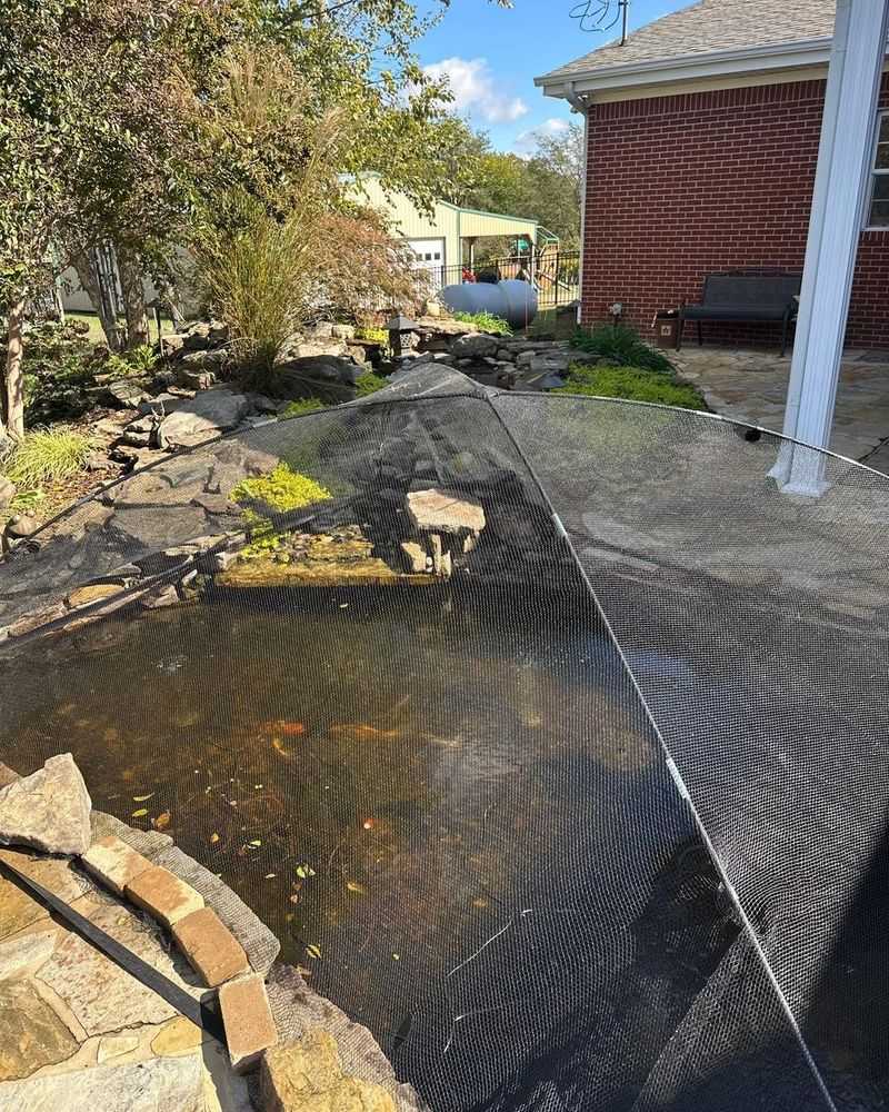 Netting The Pond Before Leaves Start Falling