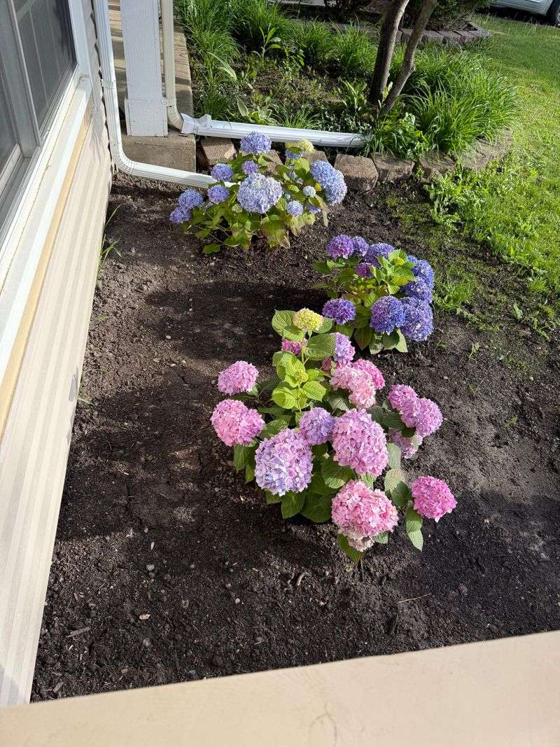 New Growth Can Be The First Place To Look