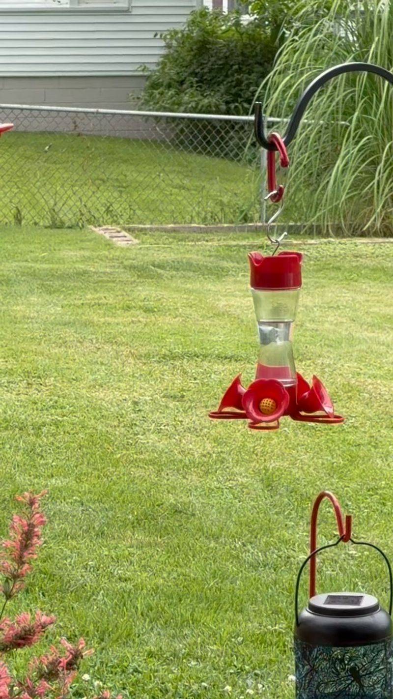 Next To A Sprinkler Or Constant Water Spray