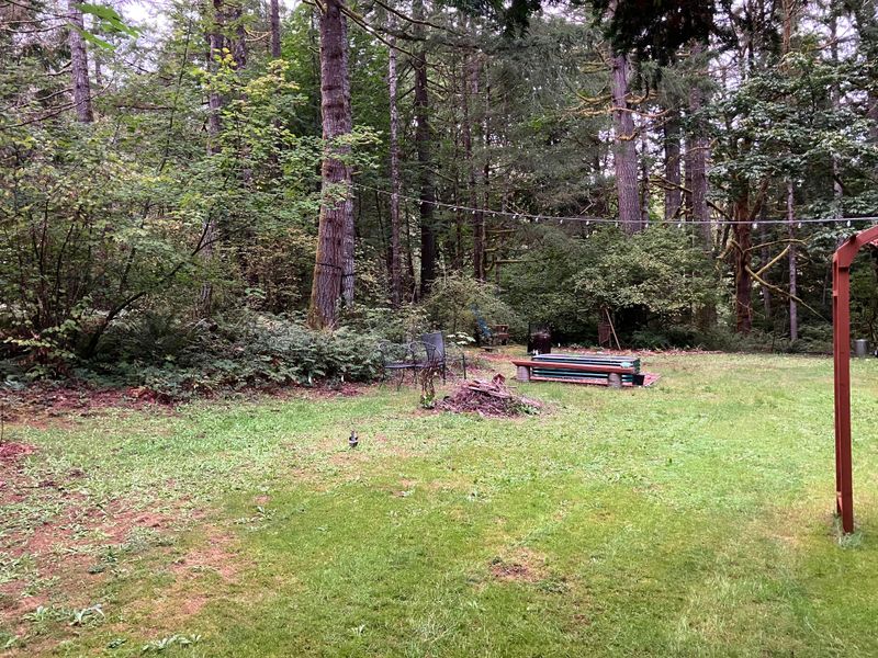 No Barrier Between Lawn And Woods
