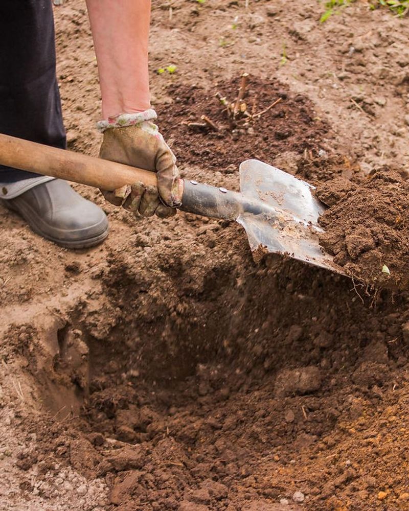 North Carolina Clay Soil Becomes Hard Like Concrete