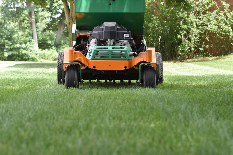 Not Every Lawn Needs Aeration Before Overseeding