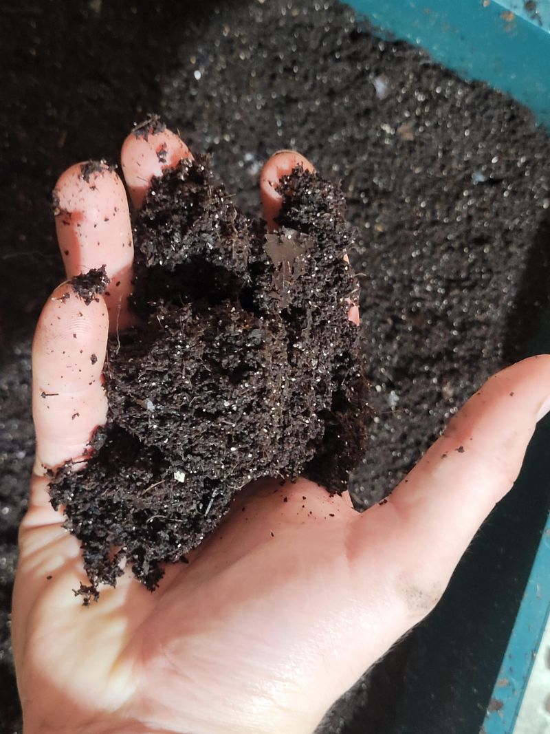Nutrient Content Inside Every Casting Pile Nutrient Content Inside Every Casting Pile