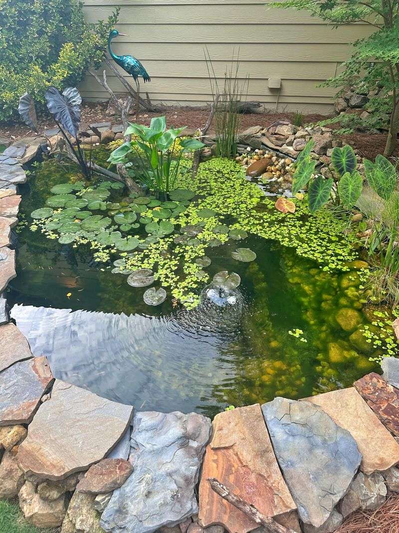 Nutrient Runoff From Fields And Lawns