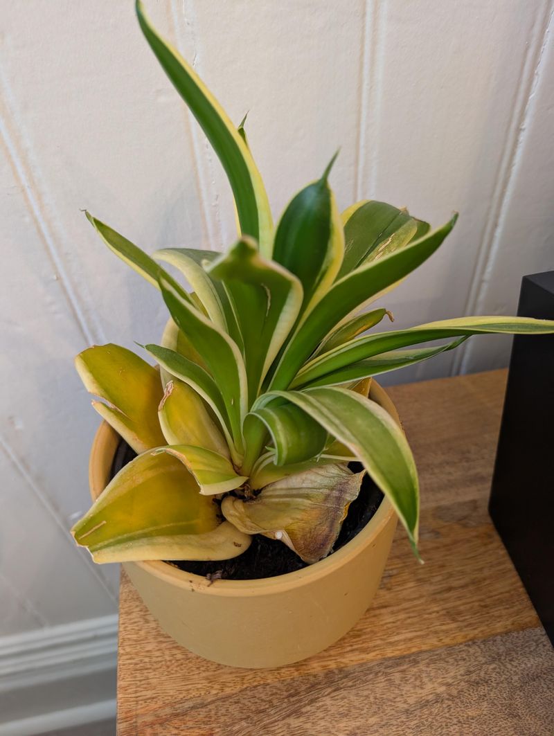 Nutrients Running Low After A Heavy Growing Season
