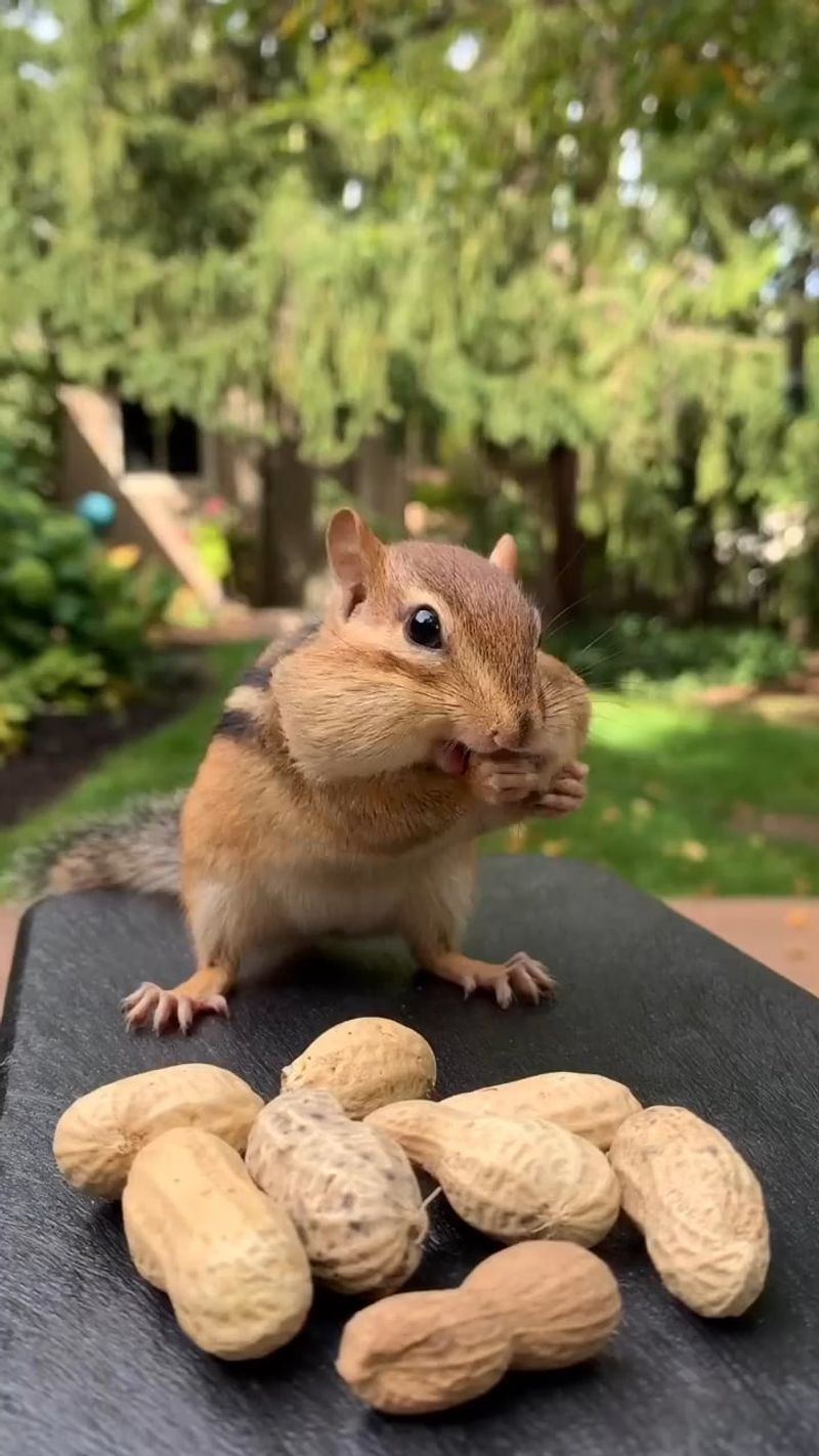 Offer A Tastier Snack Somewhere Else