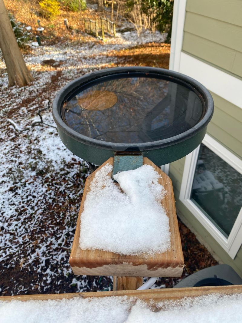 Offer Open Water With A Heated Birdbath Offer Open Water With A Heated Birdbath