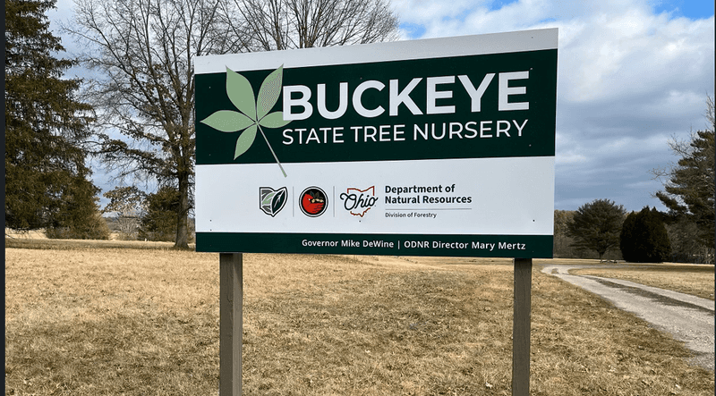 Ohio Seed Sources Keep These Trees Truly Native